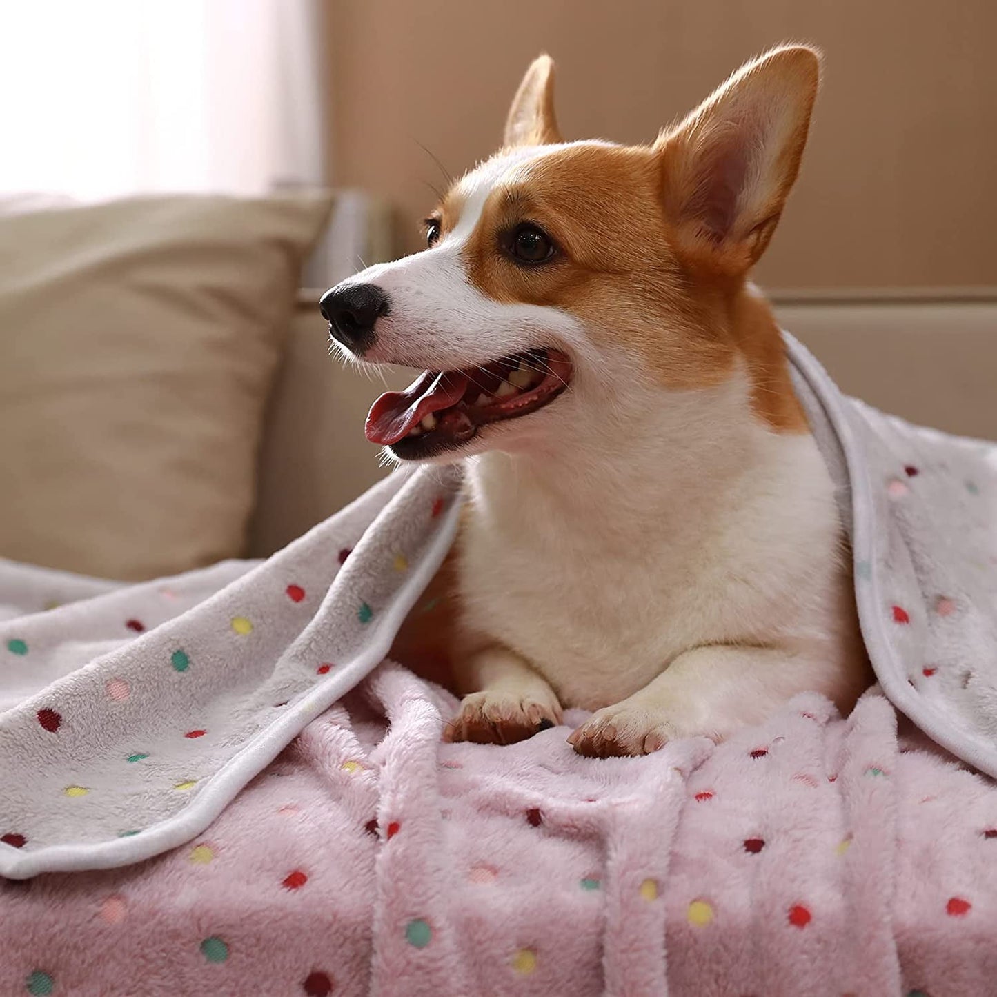 1 Pack 3 Soft Pet Dog Blanket Small Dog Cat Warm Blanket Sleep Mat