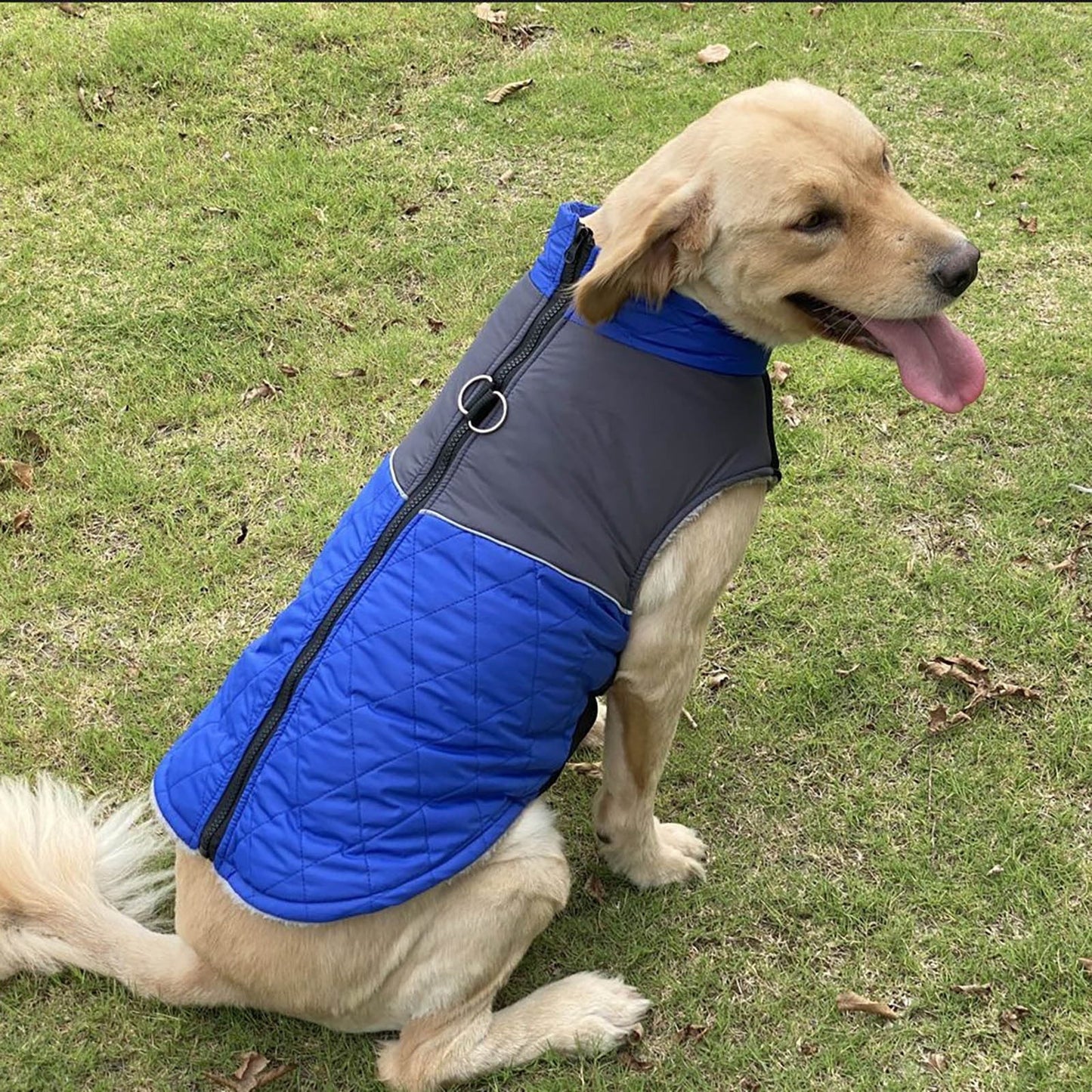 Waterproof Dog Sweater For Winter