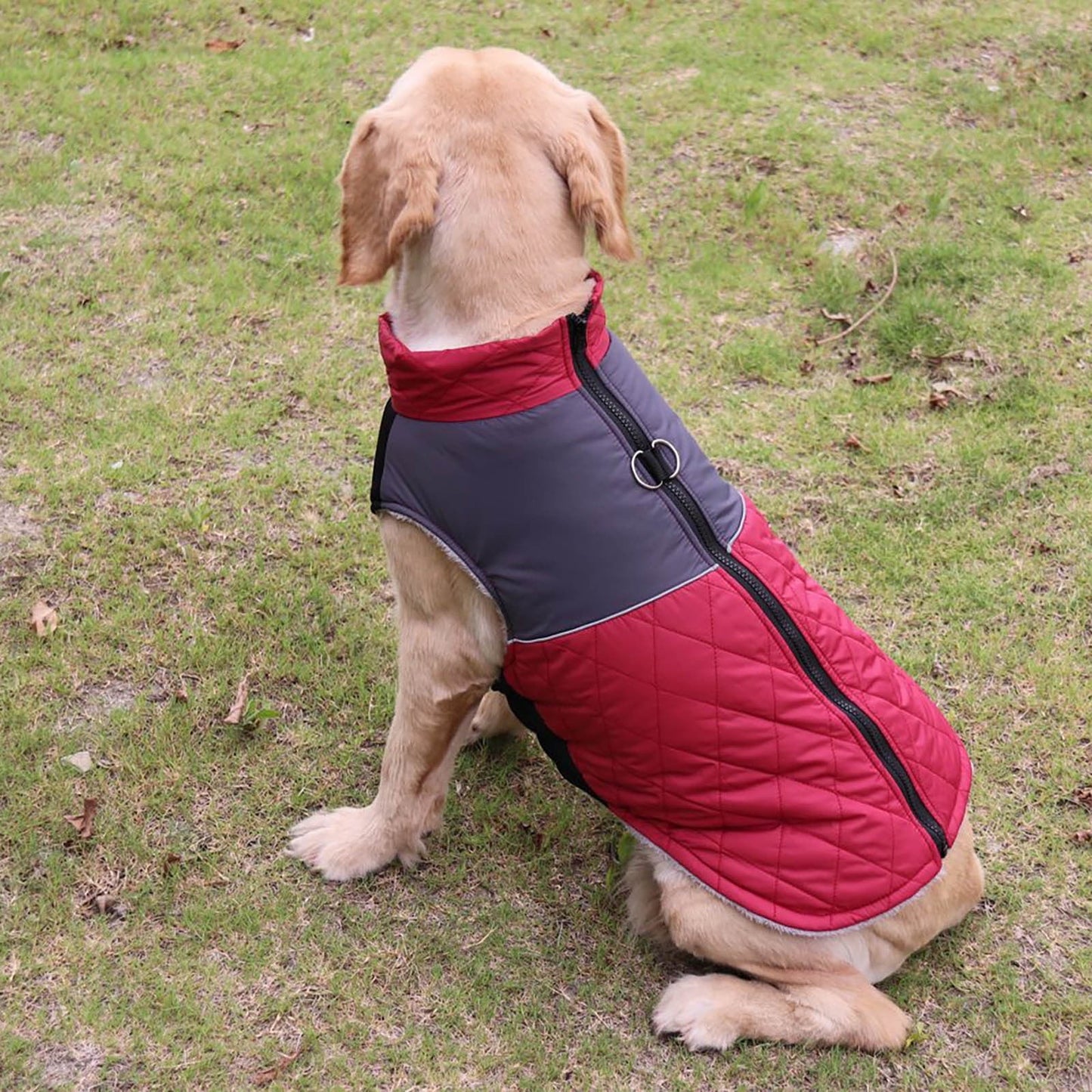 Waterproof Dog Sweater For Winter