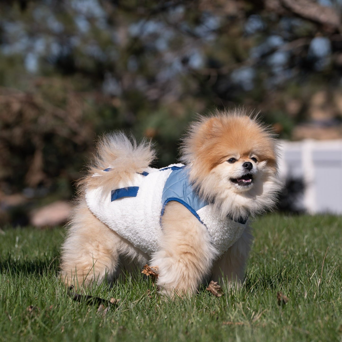 Soft Windproof Dog Coat For Winter