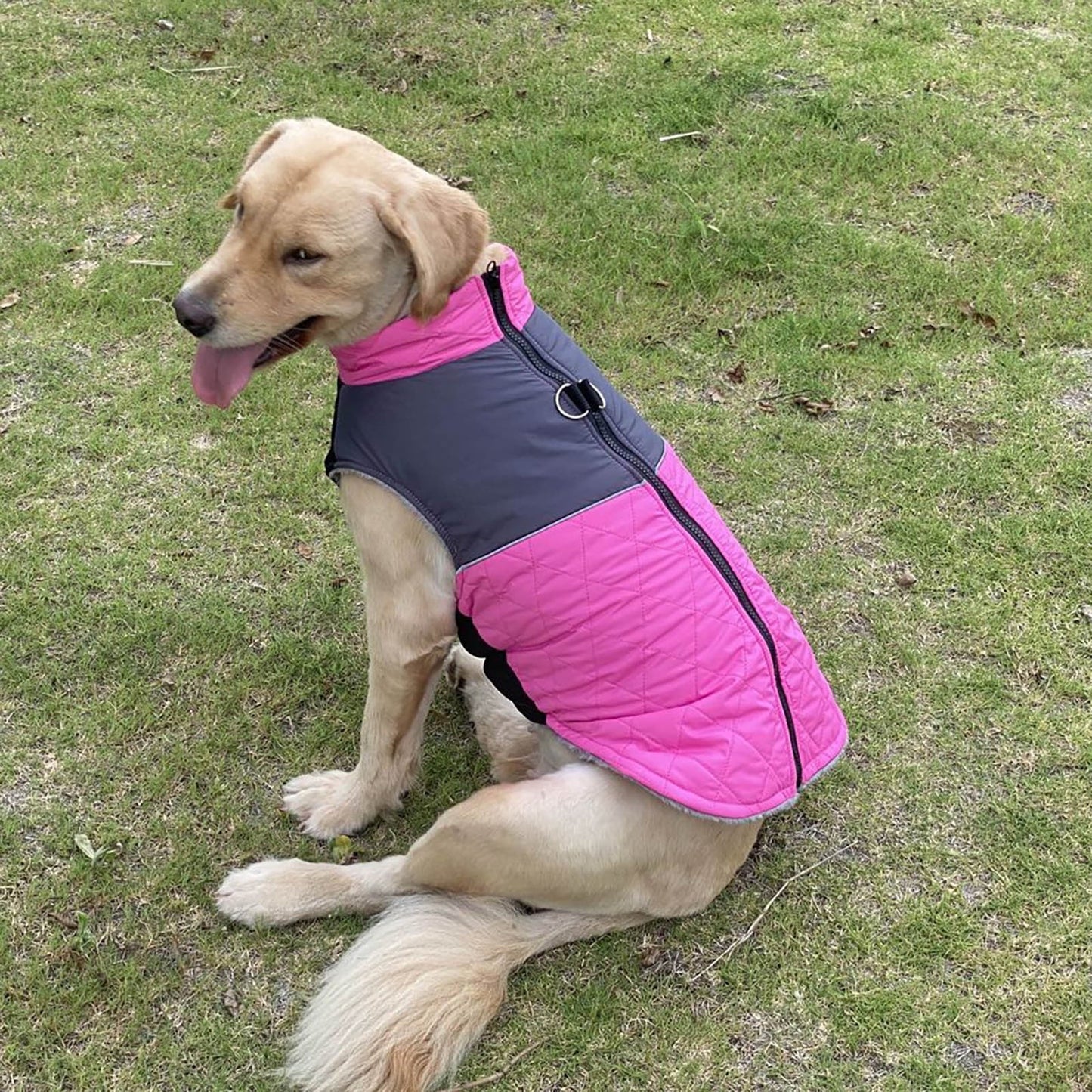 Waterproof Dog Sweater For Winter