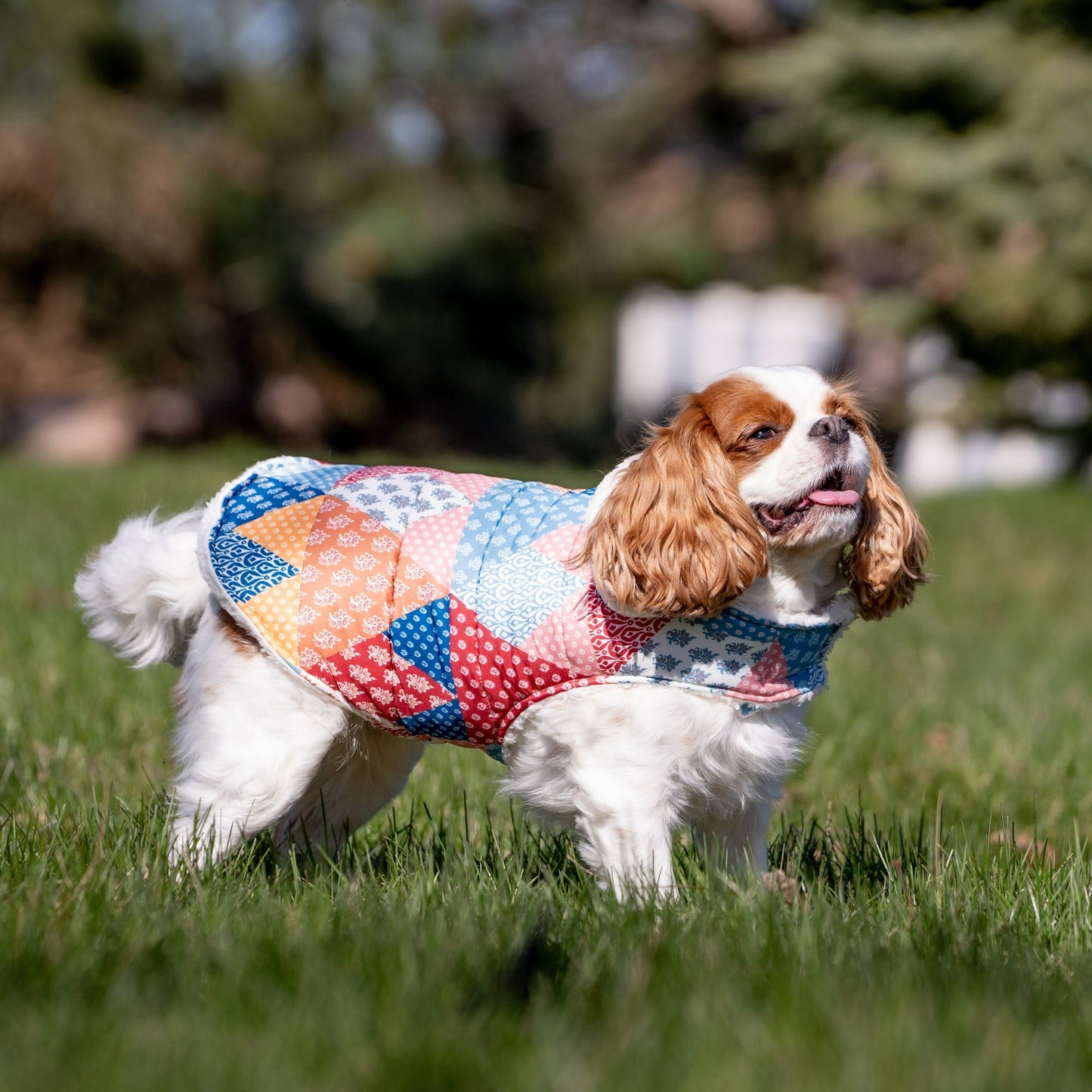 Plaid Quilted Multi-Color Dog Jacket