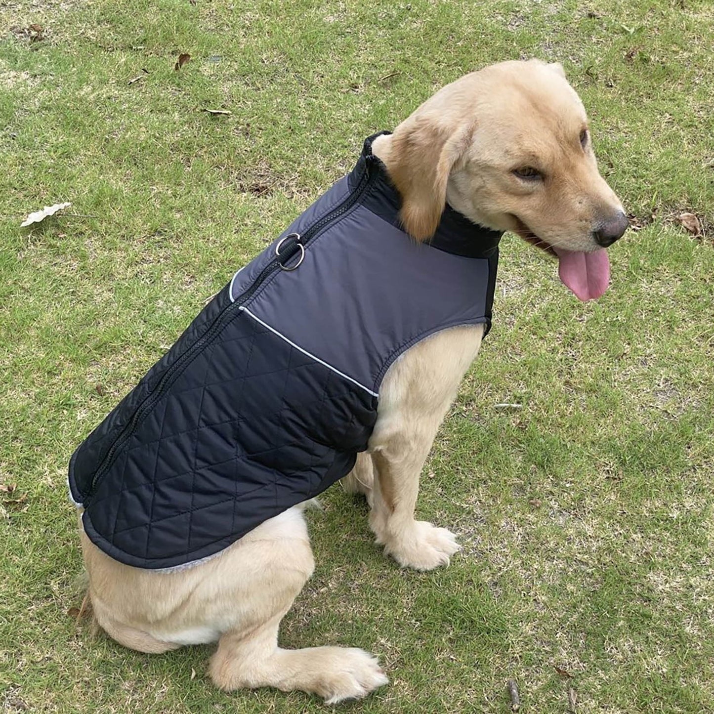 Waterproof Dog Sweater For Winter